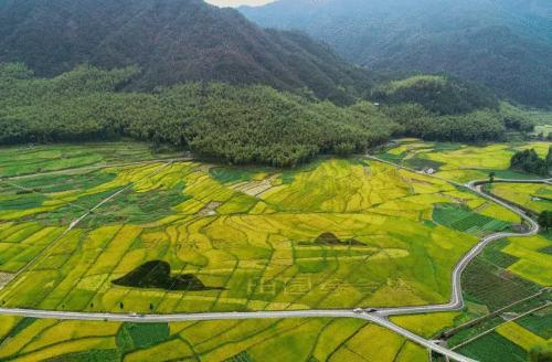 温州部署实施科技强农、机械强农“双强行动”