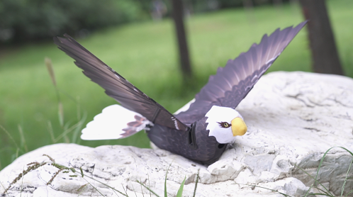 汉王科技发布新一代仿生机器鸟，意欲布局服务