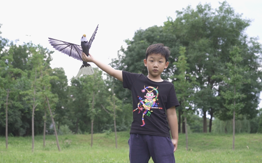 大伊在人线一二区