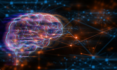 AI for Science的上半场：人工智能如何重新定义科学